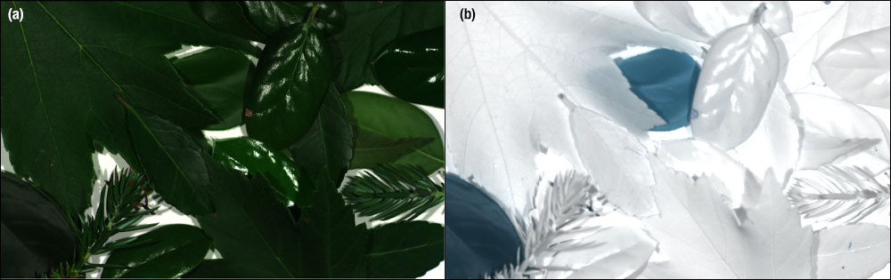 Multispectral Imaging System - HSC23V