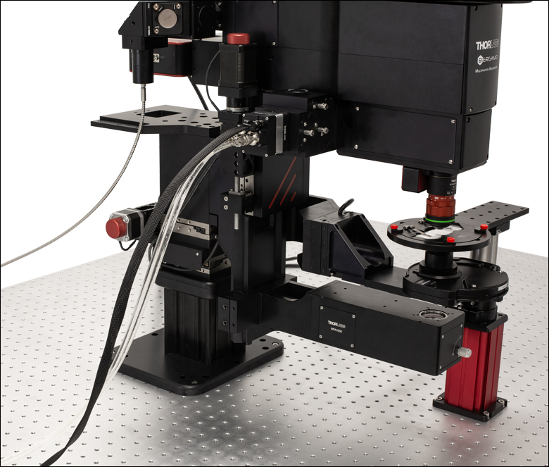 Bergamo® III Series Multiphoton Microscopy Platform