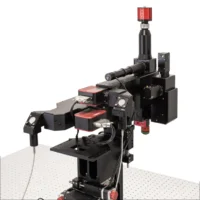 Bergamo® III Series Multiphoton Microscopy Platform