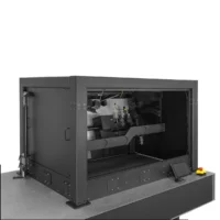 Multiphoton Mesoscope